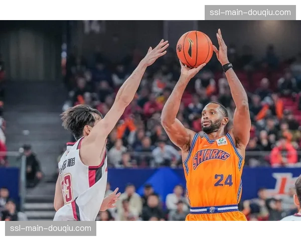 上海队时隔24年再拿常规赛第一，大有再举至尊鼎之势